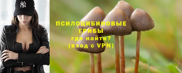 соль курить ск Арсеньев