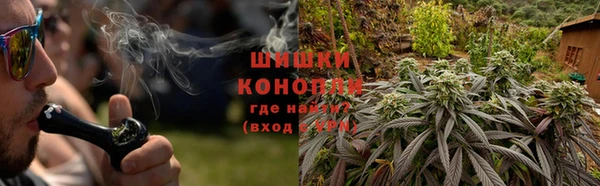 гидра Михайловск