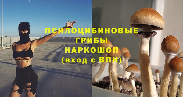каннабис Аркадак